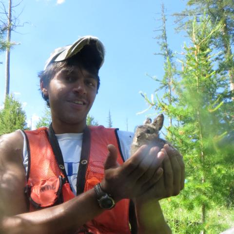 Alex kumar holds a brown snowshoe hare