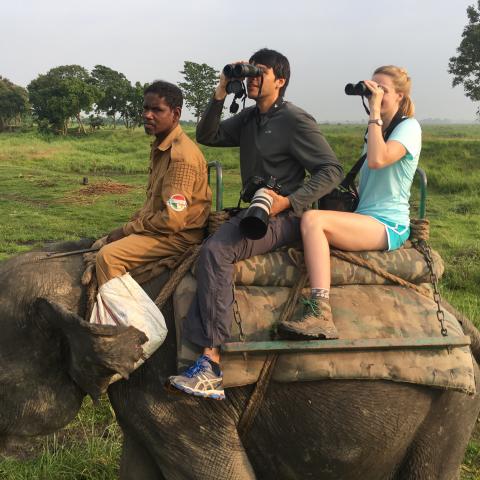 Three people ride an elephant