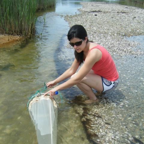 Amalia Aruda Almada uses a net to collect copepods