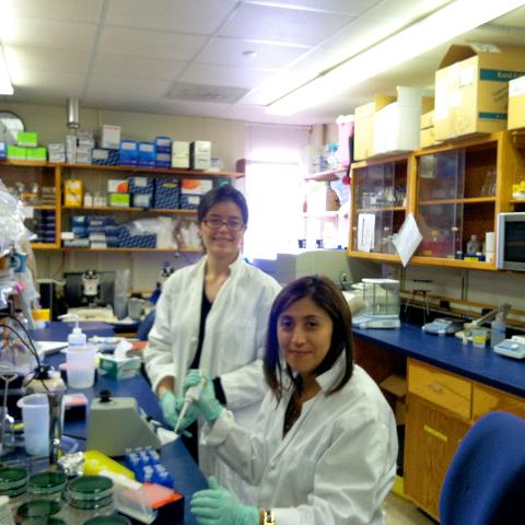 Two female students in a lab