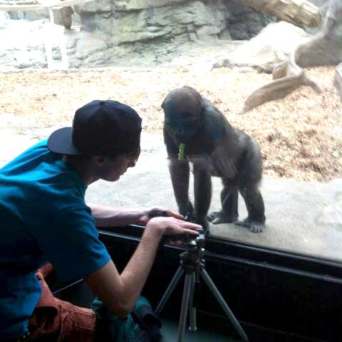 A young man photographs a chimp