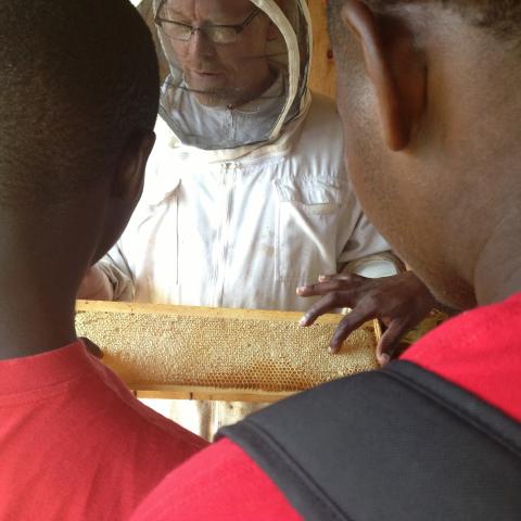 A man in a beekeeping suit holds a honeycomb while two people observe