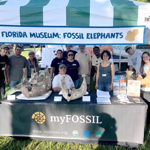 A group of students at an information booth on elephants.