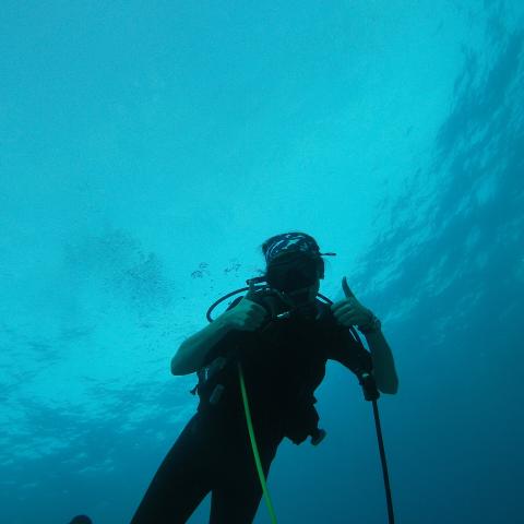 A SCUBA diver gives the thumbs up sign