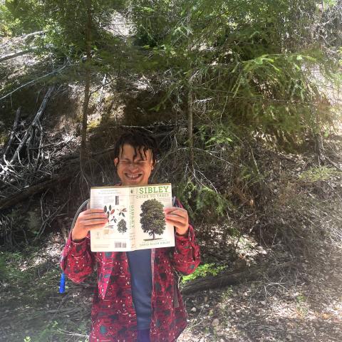 A person standing in nature holding a book titled The Sibley Guide to Trees