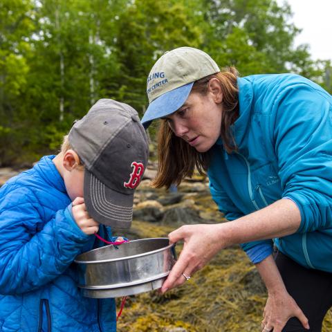 A woman and a child examine tidal species.