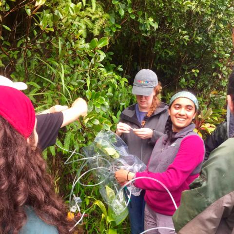 A group of students setting up scientific equipment to measure volatile organic compounds.