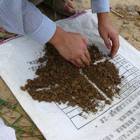 Close-up of a pair of hands drawing lines in sections of soil