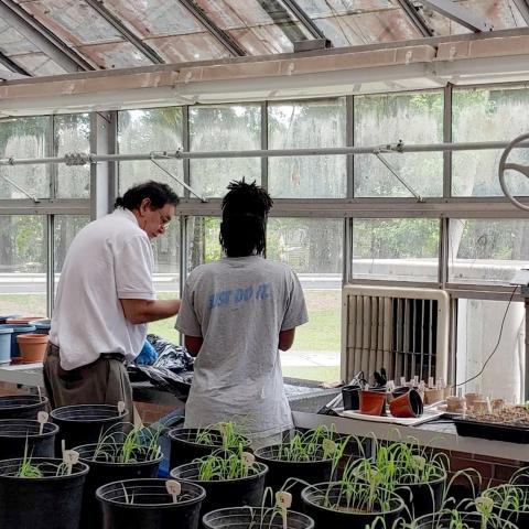 A man and woman in a greenhouse