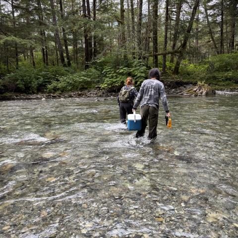 Students carrying samples across the river