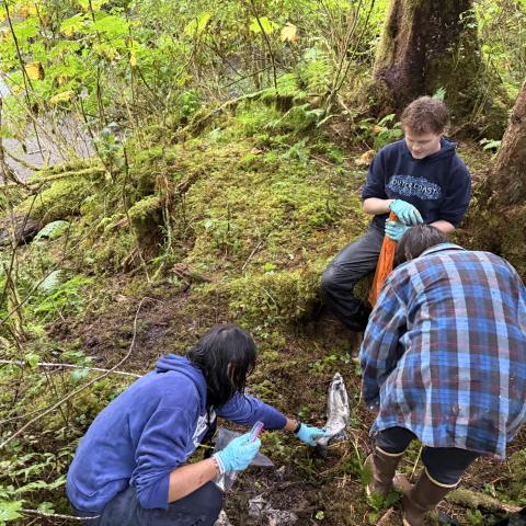 Students field sampling