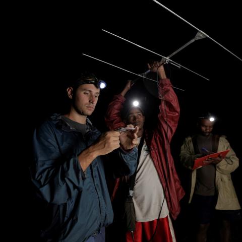 Dr. Golden and student researchers at night, holding field research equipment.