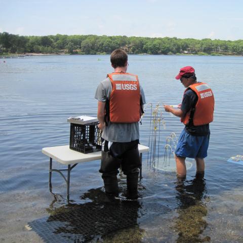 Two men in orange vests stand in the water