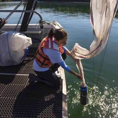 A student researcher on a boat collects a sample.