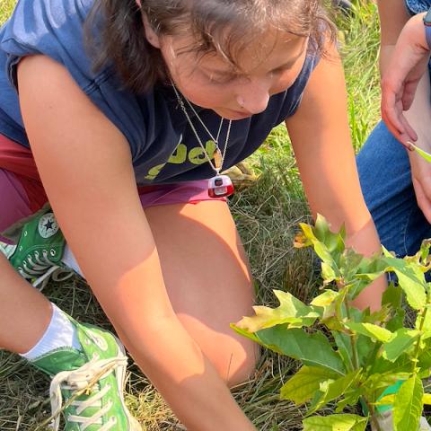 A college student plants a tree seedling.