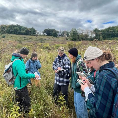 A group of people studying a wetland