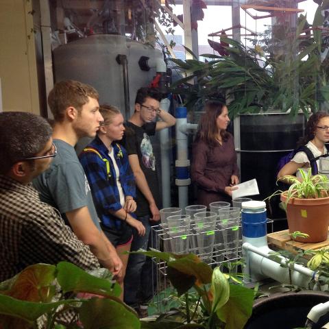 Students inside a room with plants
