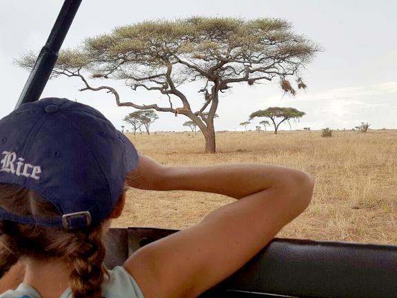 A woman observing a lion in a tree