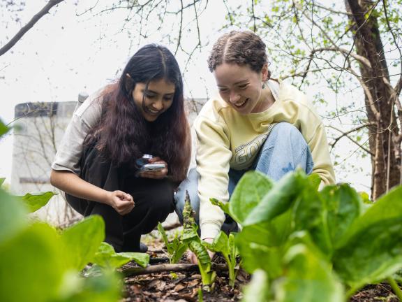 Brandeis Roots Renewal Reentry