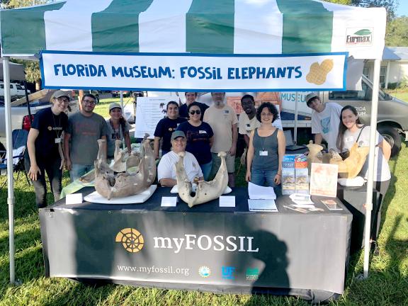 A group of students at an information booth on elephants.