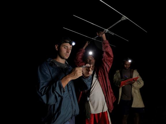 Dr. Golden and student researchers at night, holding field research equipment.