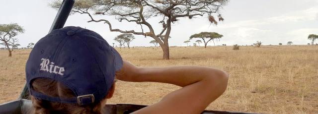 A woman observing a lion in a tree