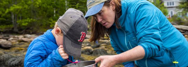 A woman and a child examine tidal species.