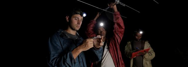 Dr. Golden and student researchers at night, holding field research equipment.