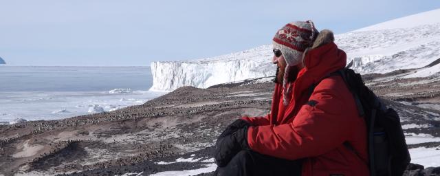 A man sits and stares at a field of penguins in Antarctica